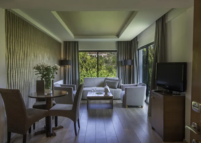 Rodon And Hotel Agros