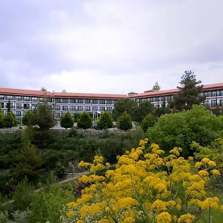 Отель Rodon And 3*